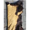 Image 4 : Tanned bear hide rug 4.5'L - claws are present. Leather is soft & supple. Very clean.