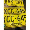 Image 4 : 11 License plates - 10 Alberta - 3 are pairs and 1 - 1968 Idaho