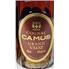 Image 3 : 750mL Camus Cognac 40%, in collectors tin - sealed