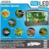 Image 3 : NEW UNPACKED MARINA LED 10 GALLON AQUARIUM TANK