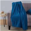 Image 1 : NEW AMZ BASICS QUEEN SIZE 15LB WEIGHTED BLANKET