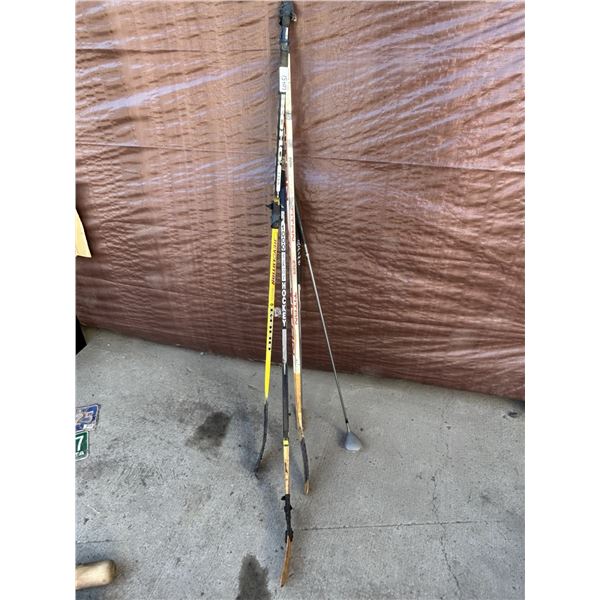 Assortment Of Hockey Sticks & Golf Clubs.