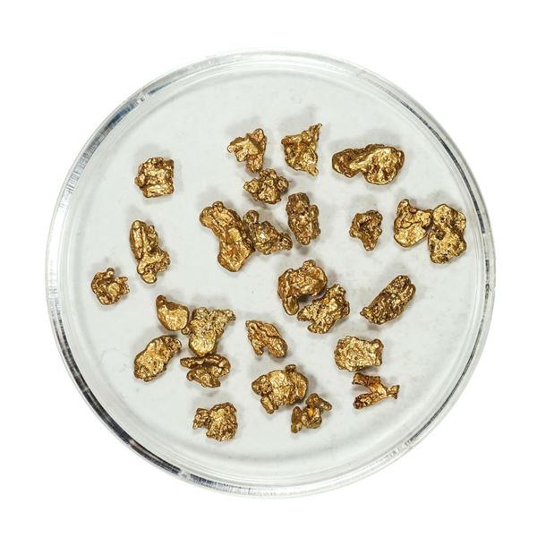 Gold Nuggets 3.90 Grams Total Weight