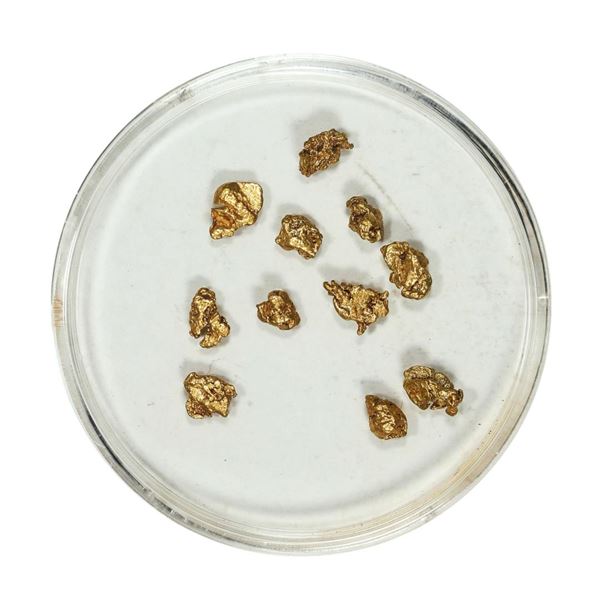 Gold Nuggets 1.79 Grams Total Weight