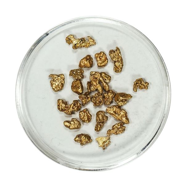 Gold Nuggets 3.58 Grams Total Weight