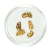 Image 1 : Lot of Gold Nuggets 3.46 Grams Total Weight