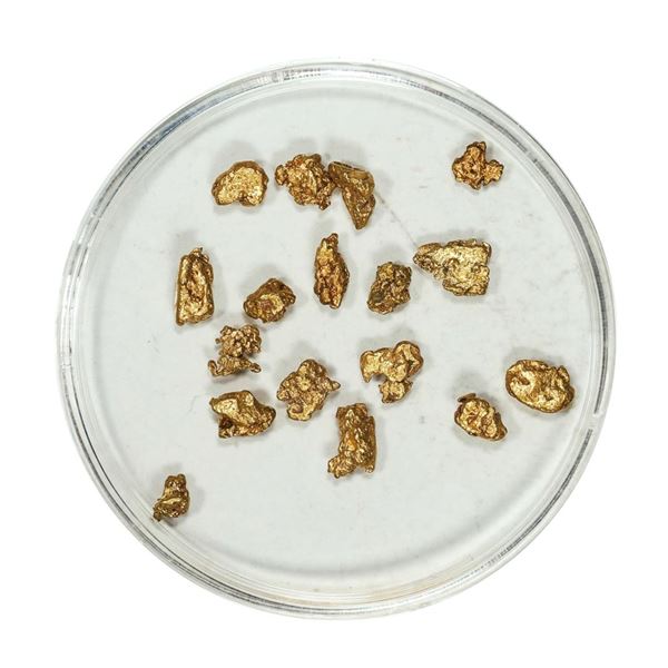 Gold Nuggets 2.71 Grams Total Weight