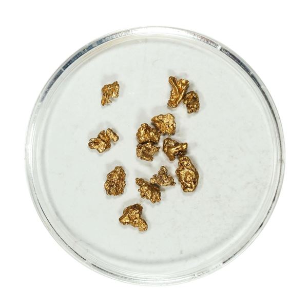 Gold Nuggets 1.57 Grams Total Weight