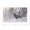 Image 1 : Fanning (1938-2014) "Phantom of the North" Print Lithograph On Paper