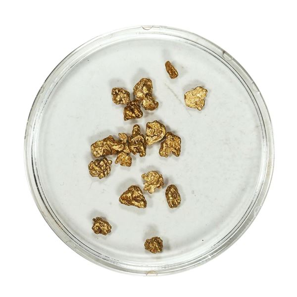 Gold Nuggets 2.14 Grams Total Weight