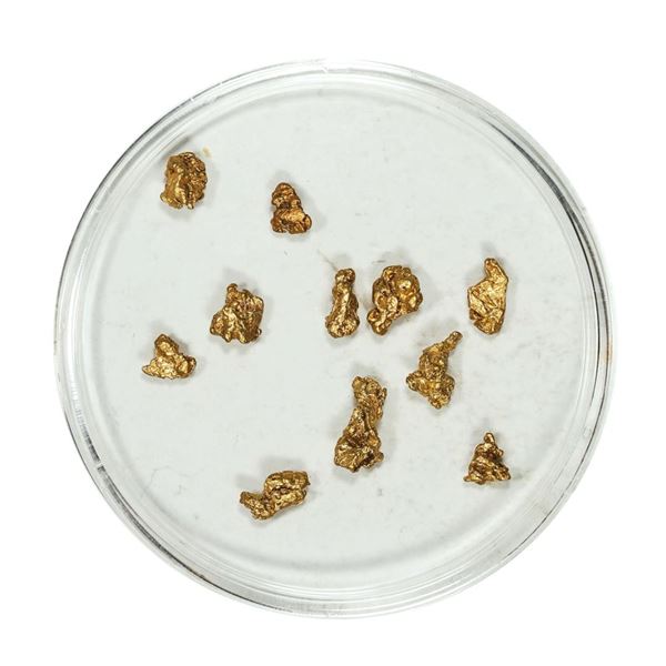 Gold Nuggets 1.65 Grams Total Weight