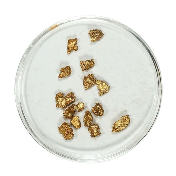 Gold Nuggets 2.33 Grams Total Weight