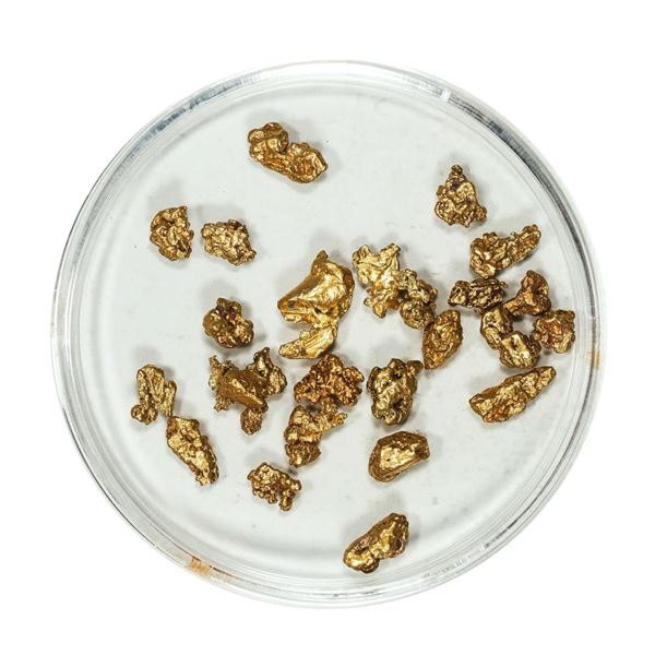Gold Nuggets 4.57 Grams Total Weight