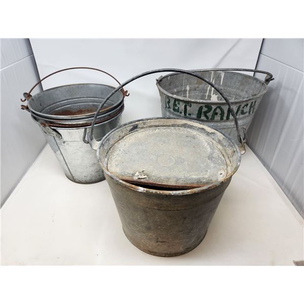 Galvanized Bucket Lot