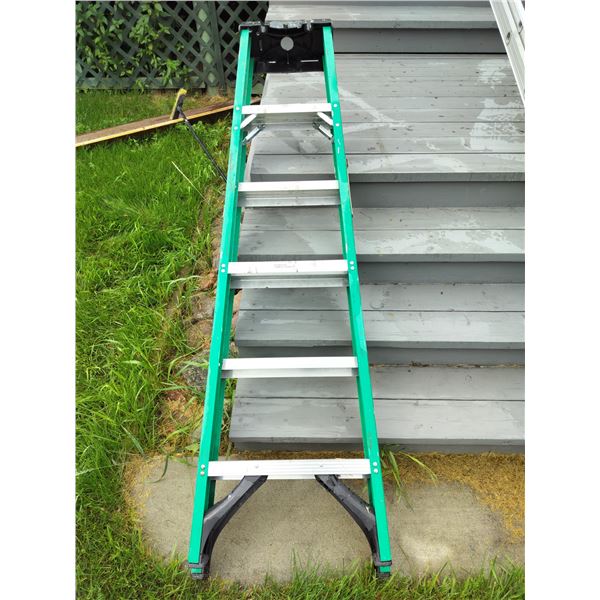 Werner 6 Foot Painters Ladder