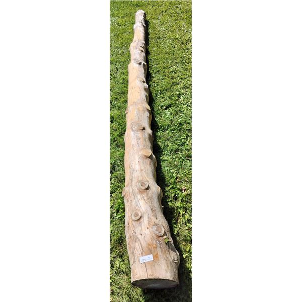 Decorative Log 156 Long x 9 1/2 Diameter