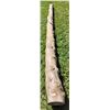 Image 1 : Decorative Log 156 Long x 9 1/2 Diameter