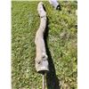 Image 1 : Decorative Log with Metal Pole 155 Long x 9 1/2 Diameter