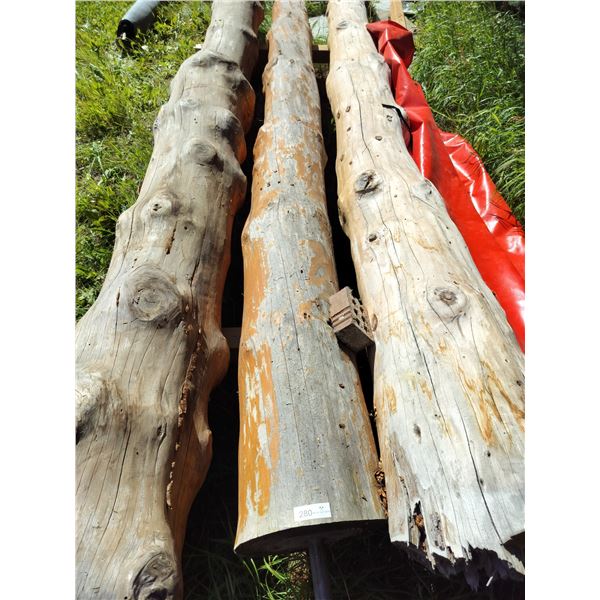 Decorative Log with Metal Pole on 1 end 144 Long x 12 Diameter