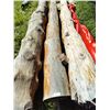 Image 1 : Decorative Log with Metal Pole on 1 end 144 Long x 12 Diameter