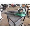 Image 1 : Weed Eater Gas Powered Leaf Blower