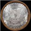 Image 3 : ***Auction Highlight*** 1889 & CC Uncirculated Morgan Dollar Shotgun Roll (fc)