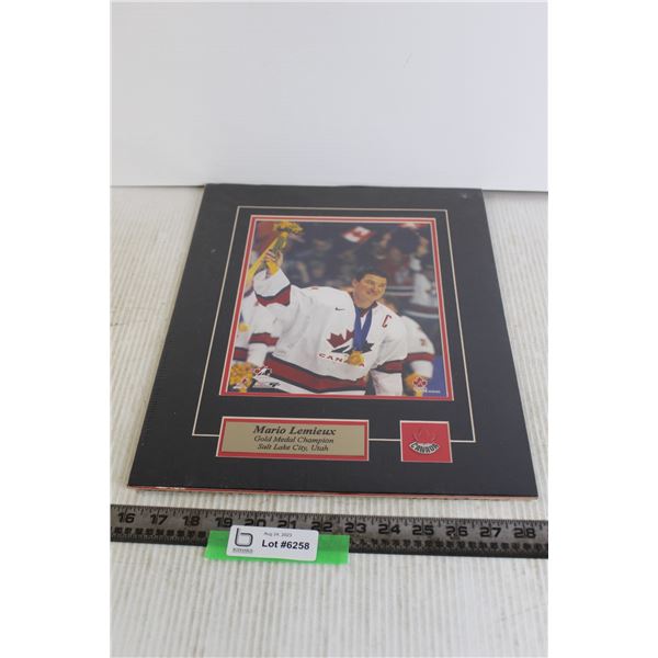 Mario Lemieux Gold Medal Champion Salt Lake City Utah Sealed Pin and Plate - 12 3/4" x 16"