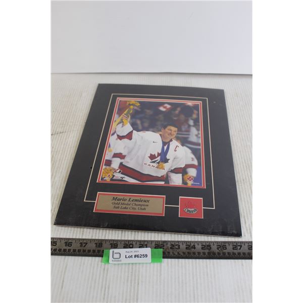 Mario Lemieux Gold Medal Champion Salt Lake City Utah Sealed Pin and Plate - 12 3/4" x 16"