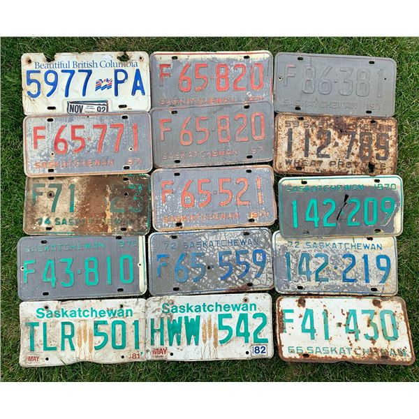 (15) License Plates