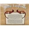 Image 3 : Anne Geddes NIB "Baby Leopard" Collectible Plush Baby Doll