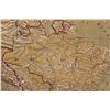 Image 3 : *Early 1900 Textured South American Relief School Map - 34" x 48"
