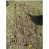 Image 1 : Tire Chains (Offsite)