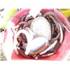 Image 3 : (3x Bid Price) (3) Buckets of Horse Shoes (Offsite)