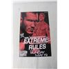 Image 3 : (5) WWE Posters - Lesnar, Rollins, John Cena