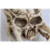 Image 3 : Predator Skull