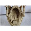 Image 4 : Predator Skull