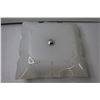Image 2 : White Light Fixture