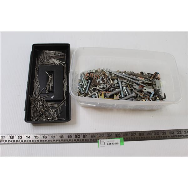 Assorted Nails and Screws