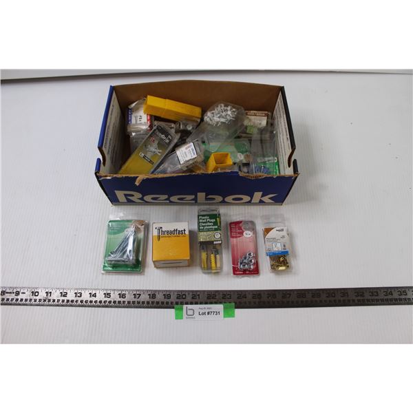 Assorted Hardware- Screws, Wall Plugs, etc.