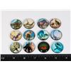 NEW 12PC GLASS DINOSAUR MAGNETS