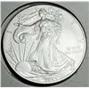 Image 1 : 2014 American Silver Eagle