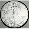 Image 1 : 2021 American Silver Eagle Type 2