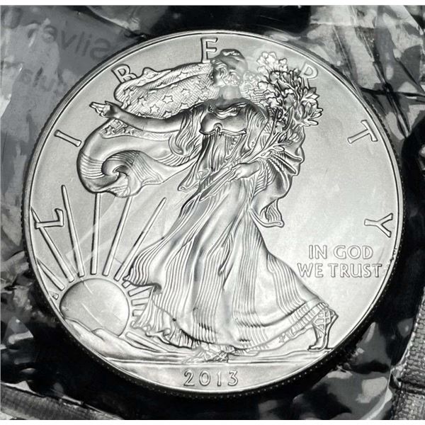 2013 American Silver Eagle