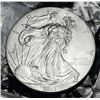 Image 1 : 2013 American Silver Eagle