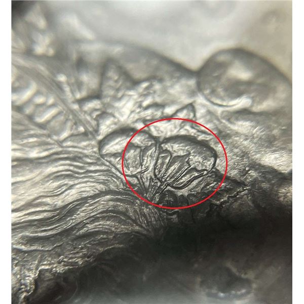 1878 7TF Morgan Silver Dollar SEGS AU50 Details VAM-115
