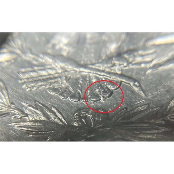 1878 7/8TF Morgan Silver Dollar SEGS AU50 Details VAM-32