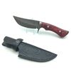 Image 1 : Fixed 4 1/4" Blade Knife with Red Wood Handle and Leather Sheath