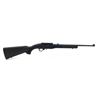 Image 1 : Ruger 10/22 Semi-Auto 22 LR Ramlite Stock 18" Barrel