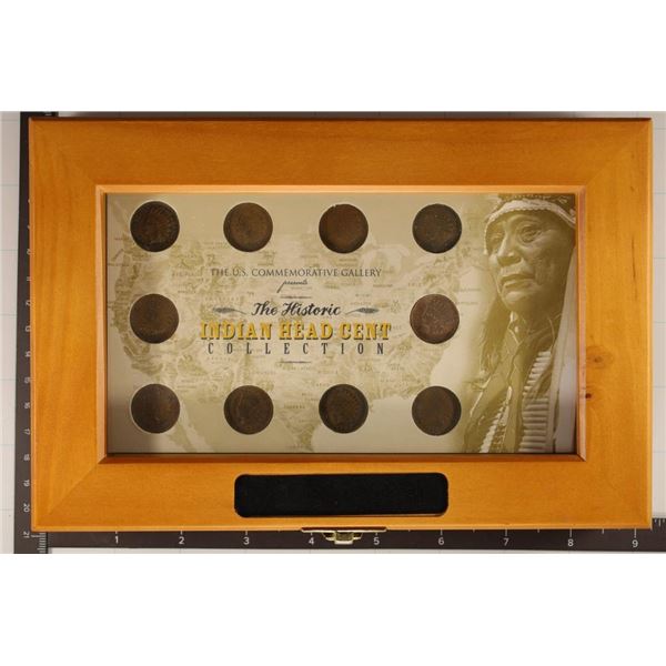 8-INDIAN HEAD CENTS IN NICE WOODEN DISPLAY BOX