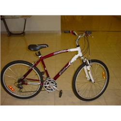 AMS Pro Line CRUSADER BIKE